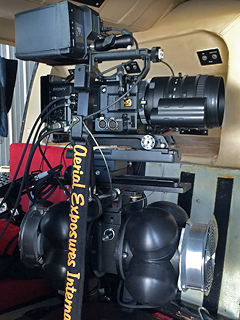F55